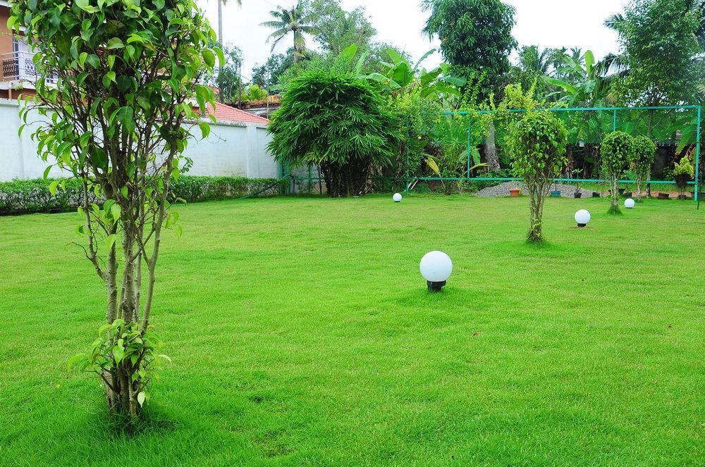 Bed and Breakfast Cosy Regency à Alappuzha Extérieur photo