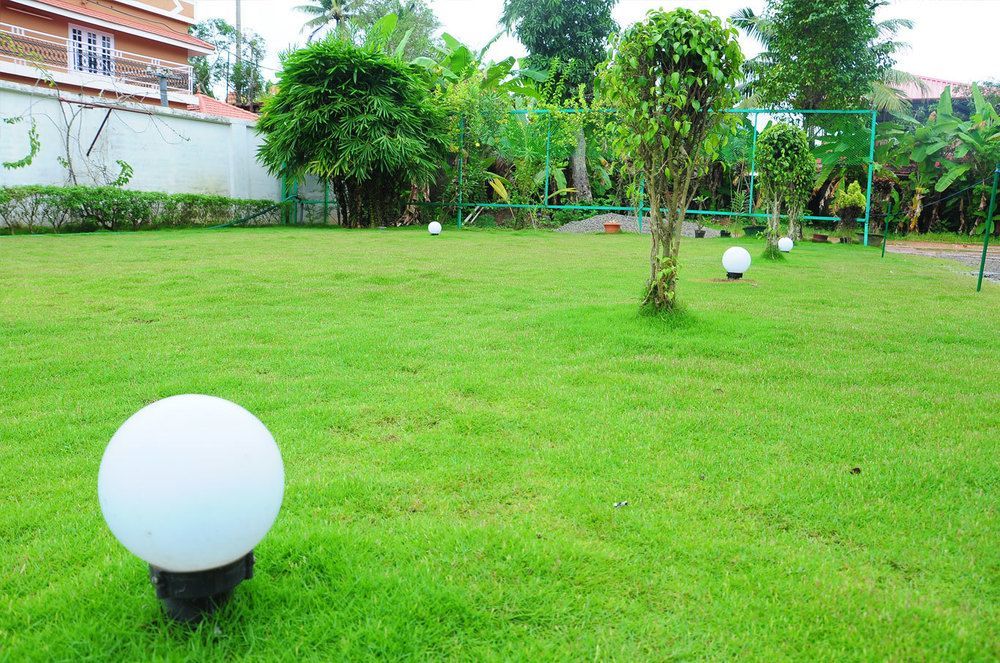 Bed and Breakfast Cosy Regency à Alappuzha Extérieur photo